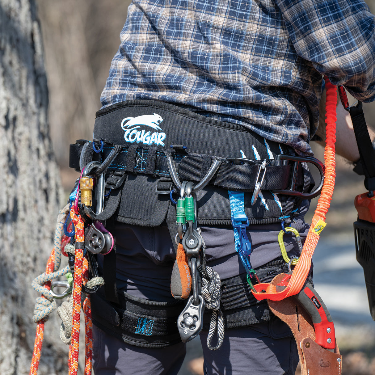 Updated Cougar Saddle with Leg Straps, in use