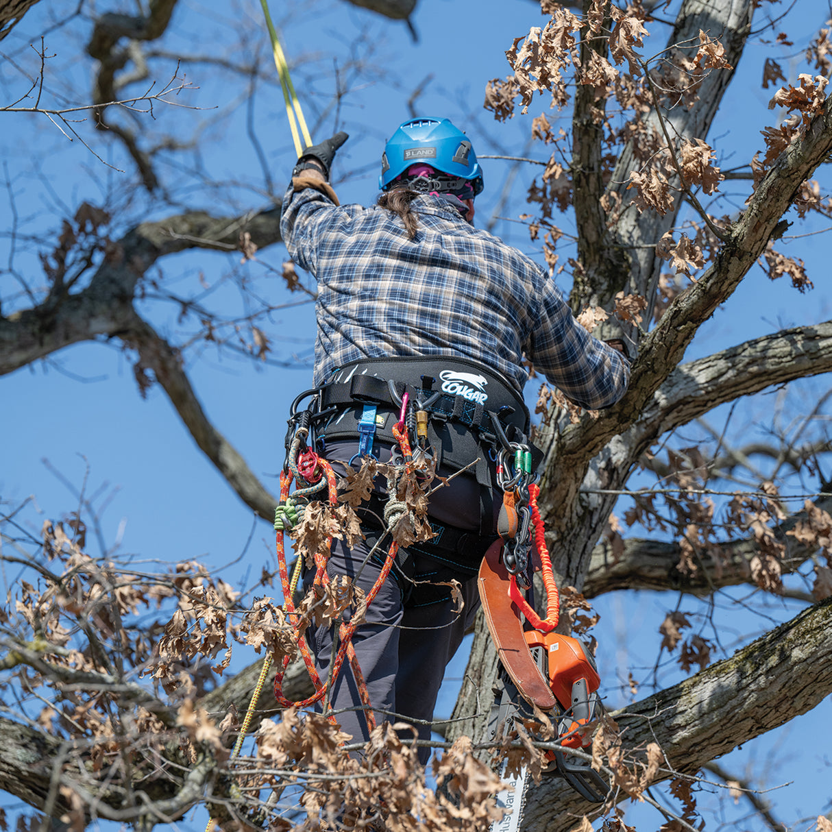 Updated Cougar Saddle with Batten Seat, in use