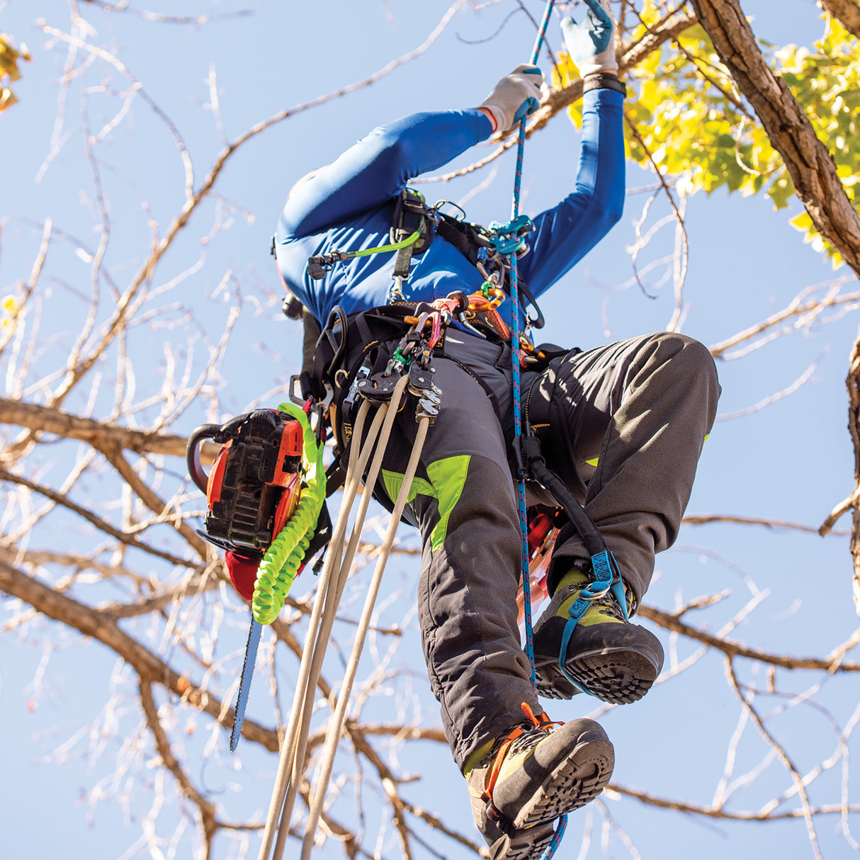 Nylon HAAS® Velox Ascent System