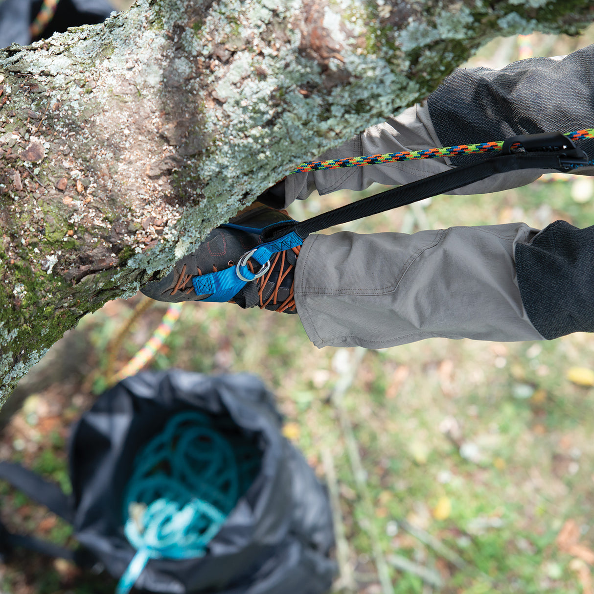 Nylon HAAS® Velox Ascent System