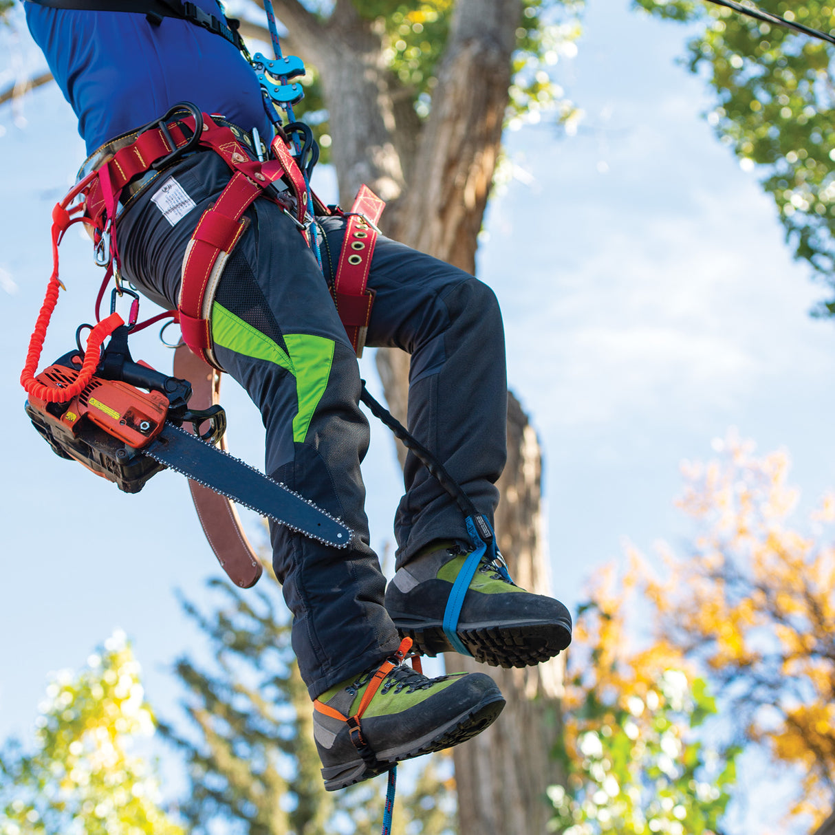 Nylon HAAS® Velox Ascent System