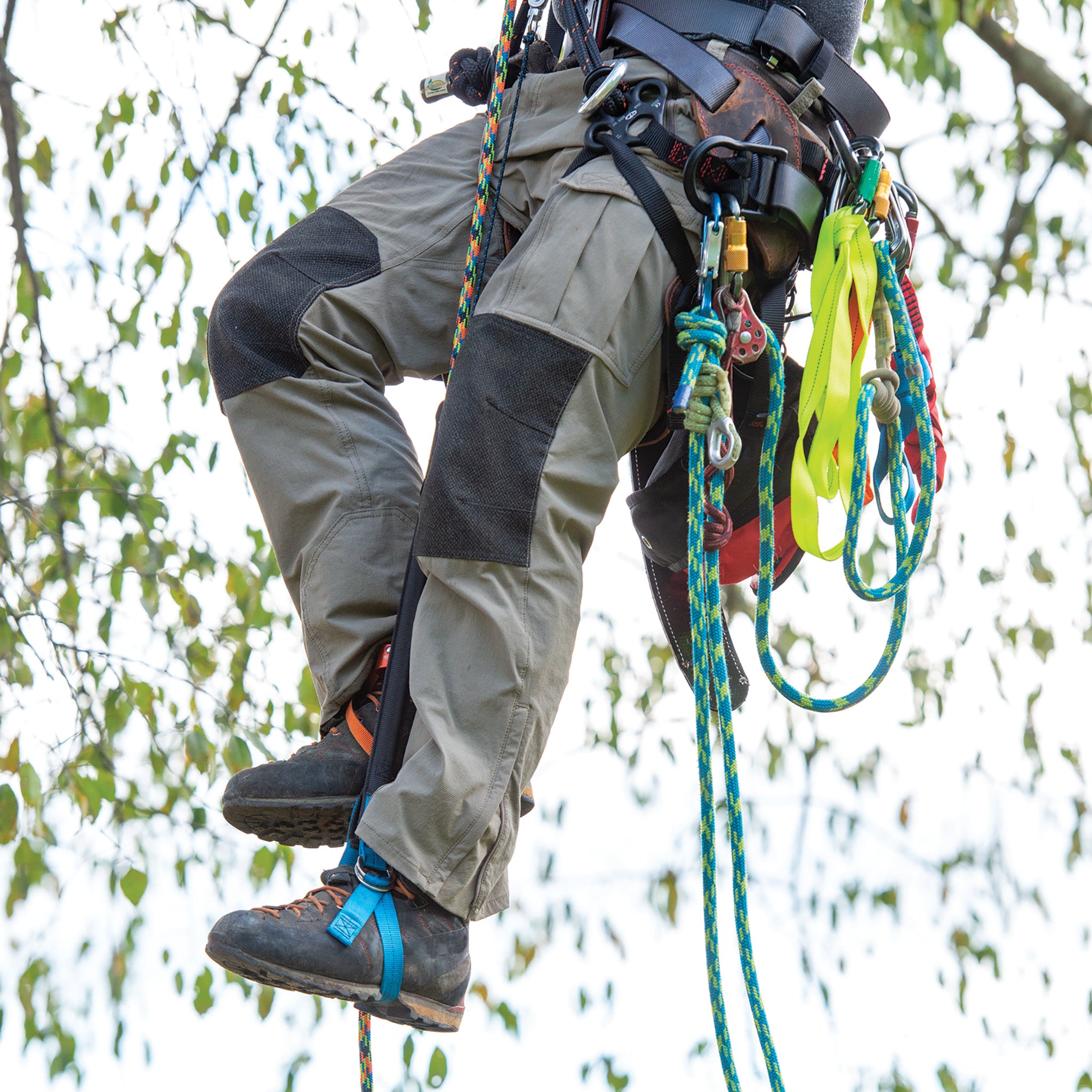 Weaver Arborist Aerosol - Portaborraccia Weaver Arborist Aerosol - Portaborraccia