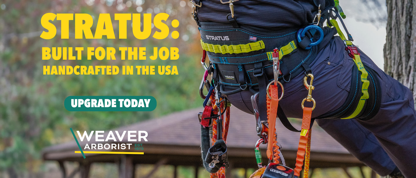 Close-up of an arborist wearing a climbing harness with colorful straps, carabiners, and gear while working beside a tree in an outdoor wooded setting.